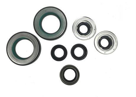 Spicer - Complete Axle Seal Kit for Ford Super Duty F250-D60F Axle
